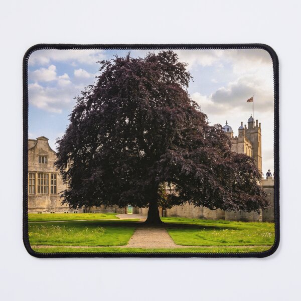 Item preview, The Grand Copper Beech at Historic Bolsover Castle designed and sold by Astute-Artio-Photography.