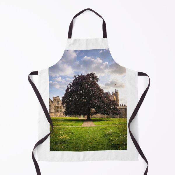 Item preview, The Grand Copper Beech at Historic Bolsover Castle designed and sold by Astute-Artio-Photography.