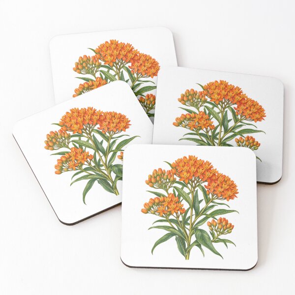 Item preview, Orange Butterfly Weed Botanical Illustration designed and sold by Apex Designs.