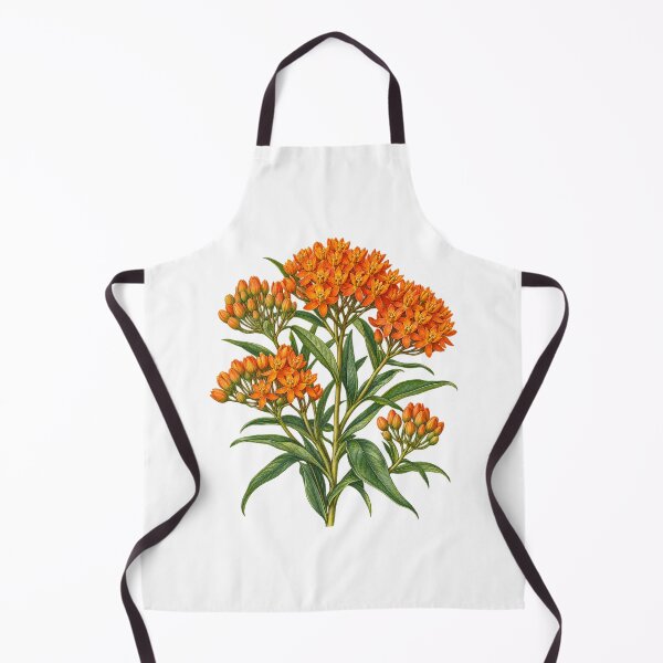 Item preview, Orange Butterfly Weed Botanical Illustration designed and sold by Apex Designs.