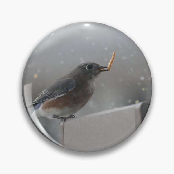 Artikelvorschau, Blaumeise im Wintersturm entworfen und verkauft von rosestuart.