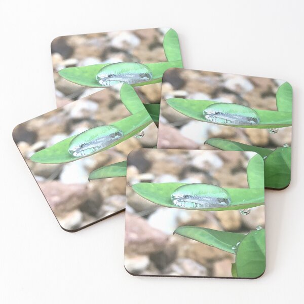 Item preview, Large Raindrop, no filter photograph designed and sold by GiSilver.
