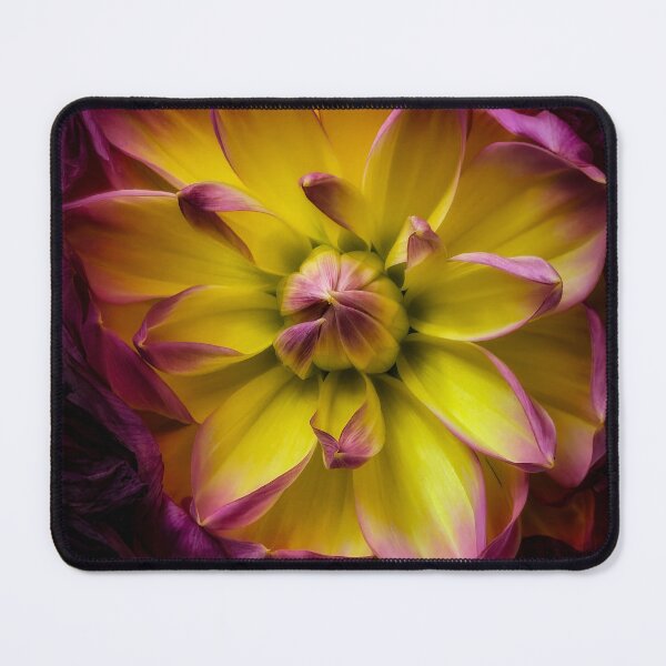 Item preview, Debutante designed and sold by Steve Walser.