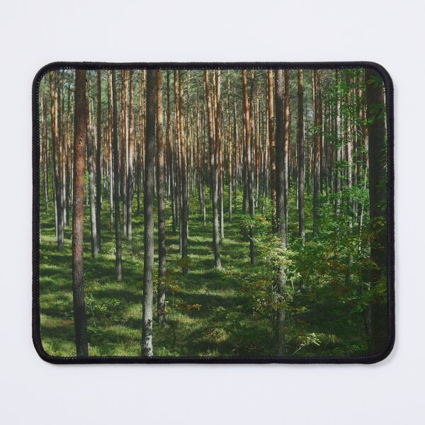 Item preview, Dense pine tree forest with lush green mossy ground designed and sold by Shemski.