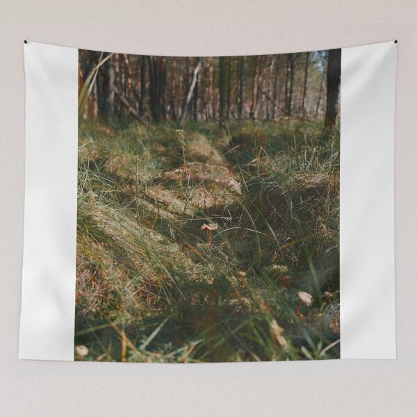 Item preview, Small mushroom growing in a mossy forest floor designed and sold by Shemski.
