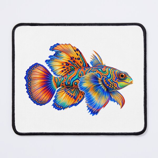 Item preview, Mandarin Dragonet — Living Rainbow designed and sold by PeanutGalSean.