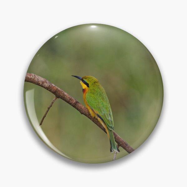 Item preview, A Little Bee Eater in South Africa designed and sold by TomRomanPhotos.