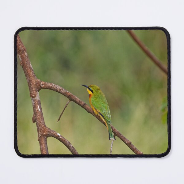 Item preview, A Little Bee Eater in South Africa designed and sold by TomRomanPhotos.