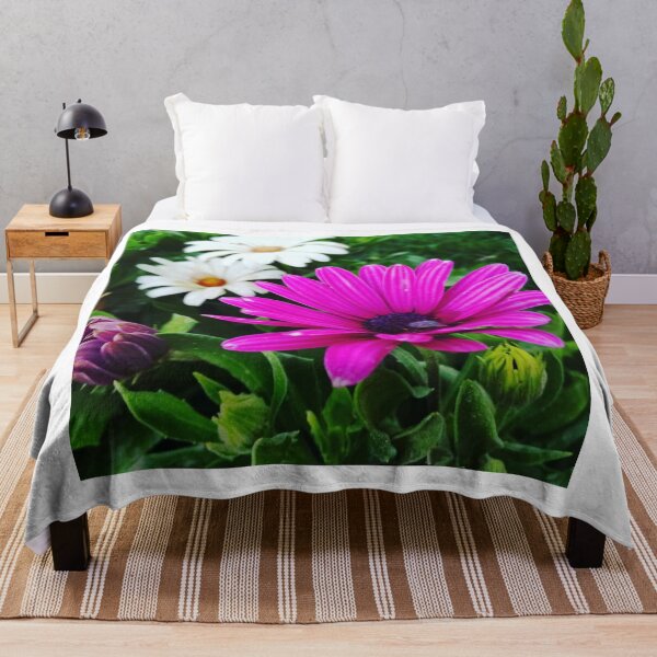 Item preview, Vibrant Purple African Daisy Garden Flower Photography designed and sold by Luxxe87.