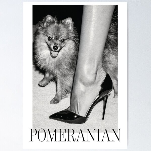 Item preview, Fashion Dogs: Pomeranian third designed and sold by ByFMV.