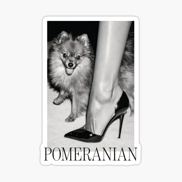 Item preview, Fashion Dogs: Pomeranian third designed and sold by ByFMV.