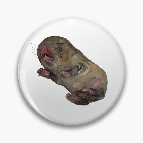 Item preview, Cute Prairie Vole Pup Illustration designed and sold by Levi & Koda Studio.