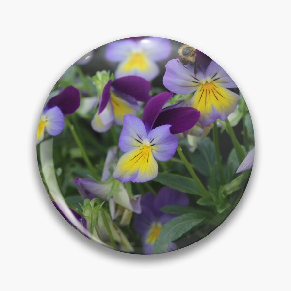Item preview, Purple and yellow pansies with bee – Colourful botanical flower photography designed and sold by Cha-s-lens.