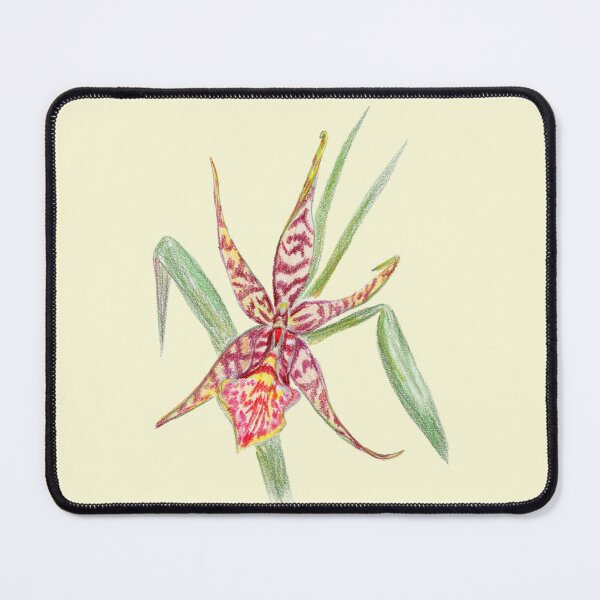 Item preview, Arthurara Sea Snake Unforgettable Orchid Colored Pencil Botanical Drawing designed and sold by Dina's Fine Arts.