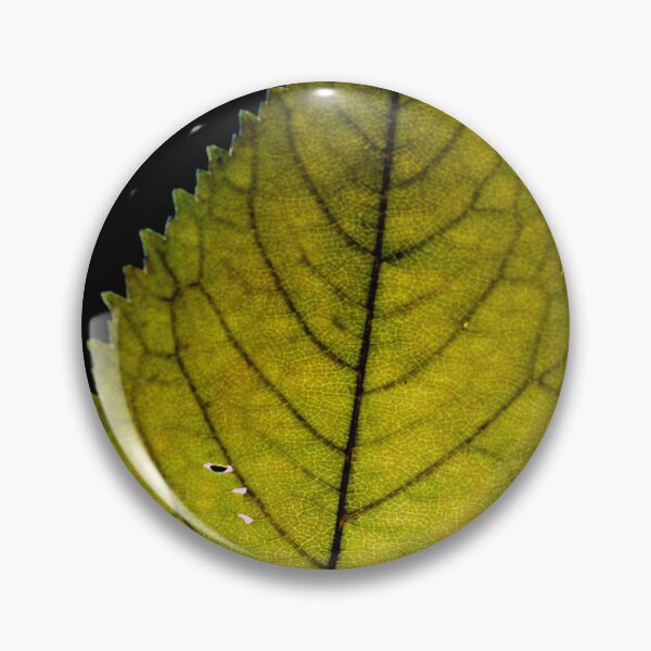 Item preview, Golden Autumn Leaf on Deep Black Background designed and sold by onubi.