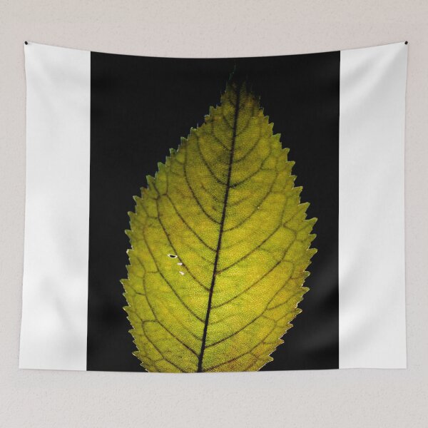 Item preview, Golden Autumn Leaf on Deep Black Background designed and sold by onubi.