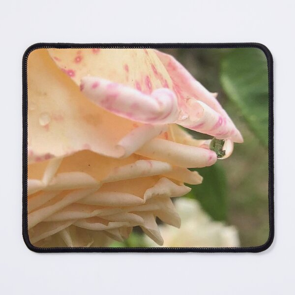 Item preview, weeping rose, no filter photograph designed and sold by GiSilver.