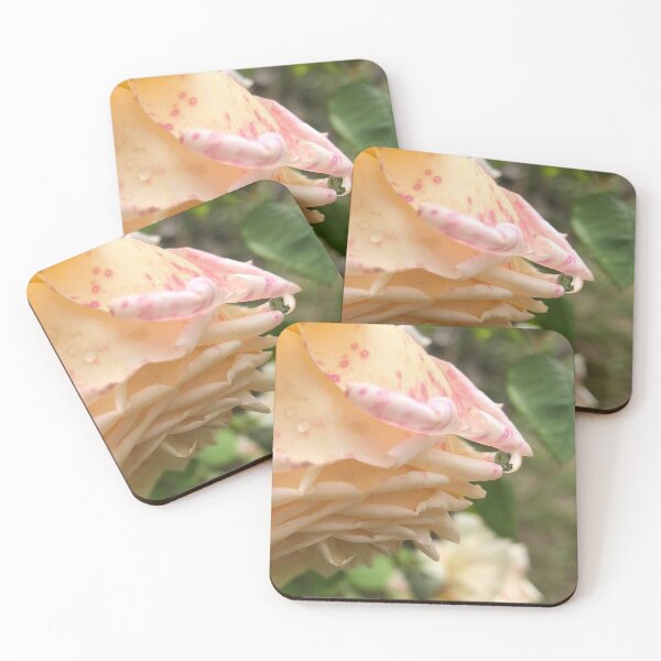 Item preview, weeping rose, no filter photograph designed and sold by GiSilver.