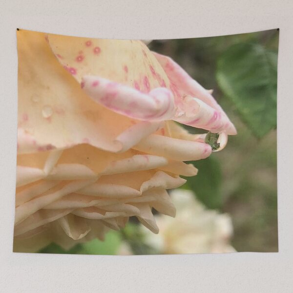 Item preview, weeping rose, no filter photograph designed and sold by GiSilver.