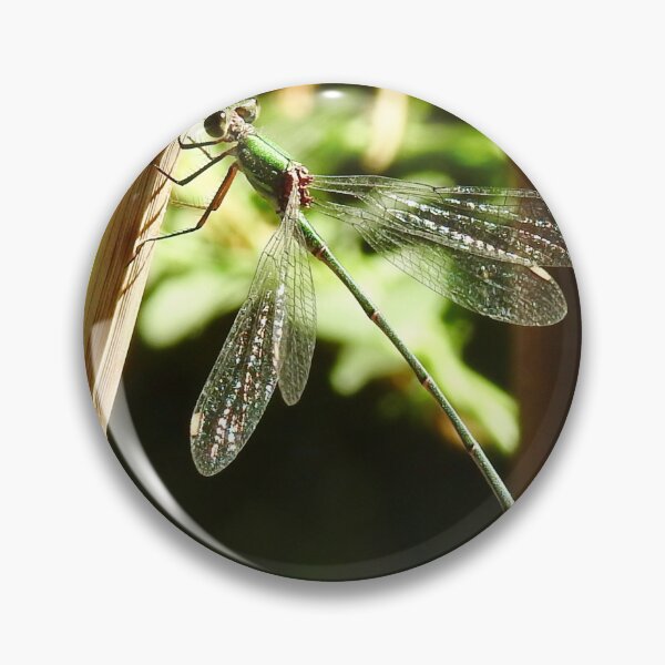Item preview, Emerald Damselfly  designed and sold by Martina Nicolls.