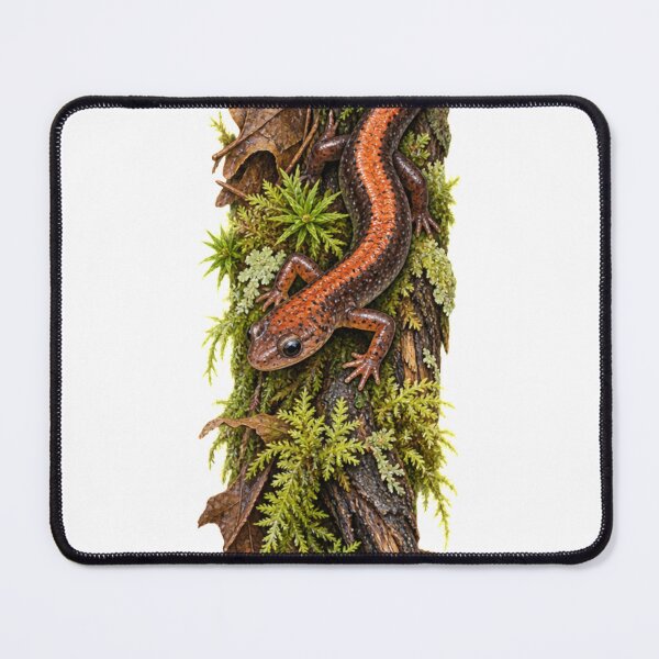 Item preview, The Hidden Life – Red-backed Salamander Woodland Wildlife Art designed and sold by SusanSweetArt.
