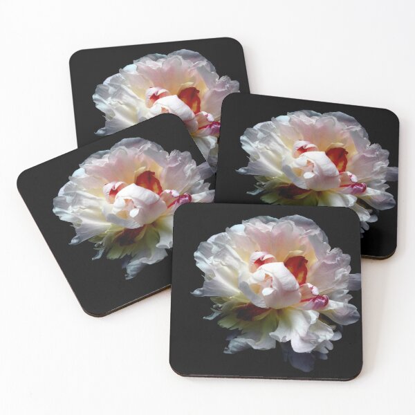 Item preview, Peony on Black designed and sold by ria hills.