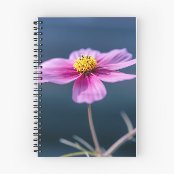 Item preview, Bold in Bloom – Pink Flower Fine Art Photography designed and sold by little_macro_love.