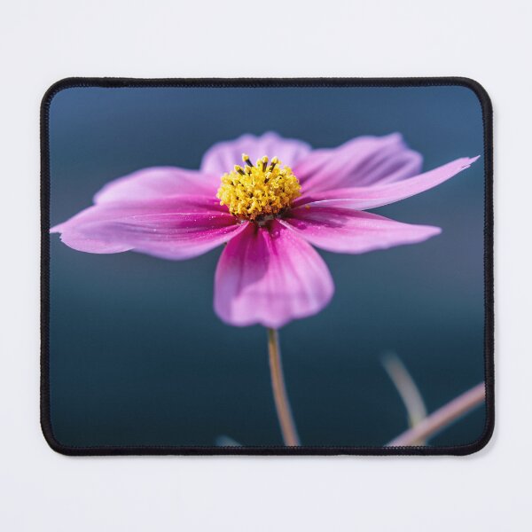 Item preview, Bold in Bloom – Pink Flower Fine Art Photography designed and sold by little_macro_love.