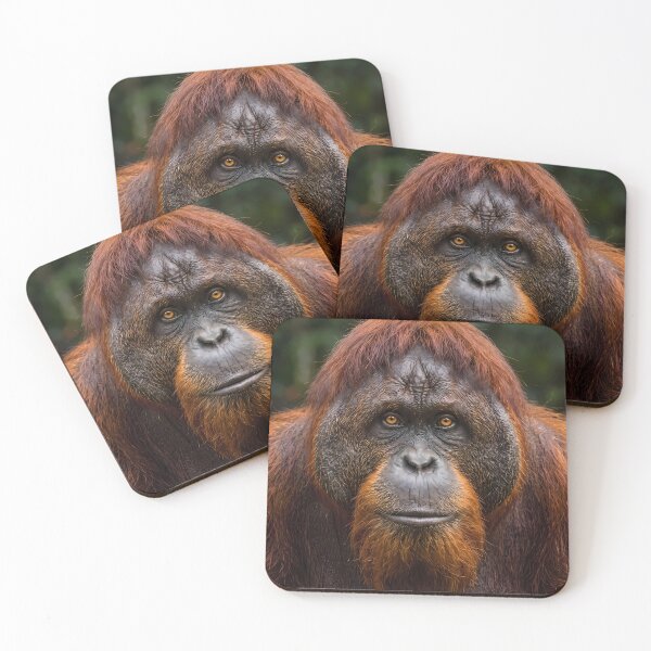 Item preview, Wise Eyes - Close-Up Portrait of an Orangutan designed and sold by TeeBeeDesigns.
