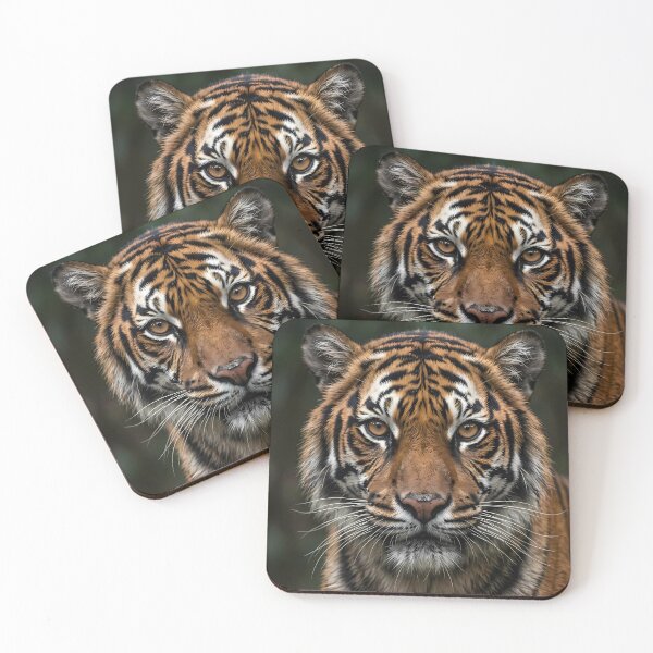 Item preview, Tiger Face Close Up Beautiful Big Wild Cat designed and sold by TeeBeeDesigns.