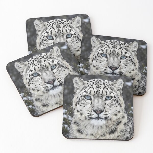 Item preview, Snow leopard, face on close up beautiful wild big cat designed and sold by TeeBeeDesigns.