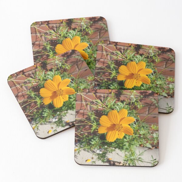 Item preview, Sidewalk Sulfur Cosmos in West Passyunk designed and sold by concretebotany.