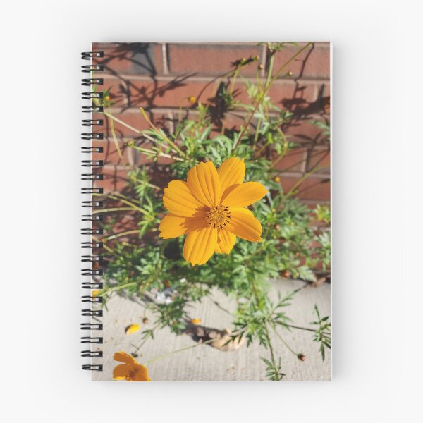 Item preview, Sidewalk Sulfur Cosmos in West Passyunk designed and sold by concretebotany.