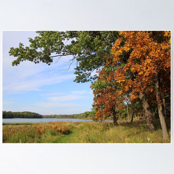 Item preview, Lake View with Trees designed and sold by Ella Blame.