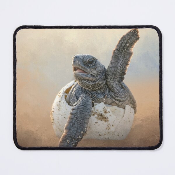 Item preview, Hatching Baby Sea Turtle designed and sold by Elisabeth Lucas.