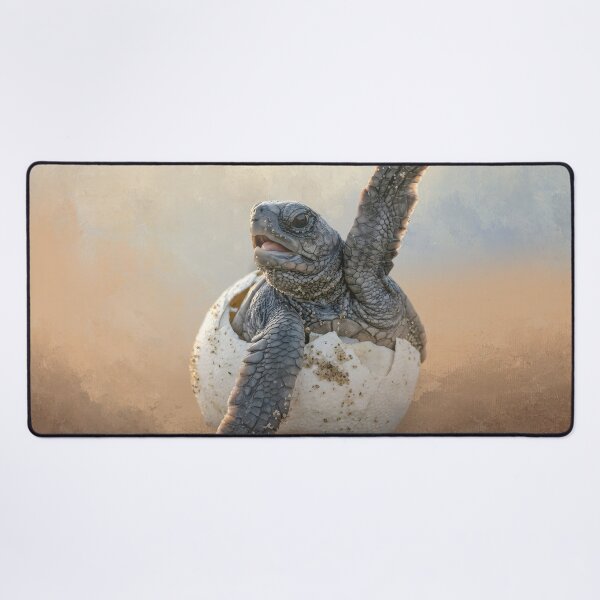Item preview, Hatching Baby Sea Turtle designed and sold by Elisabeth Lucas.