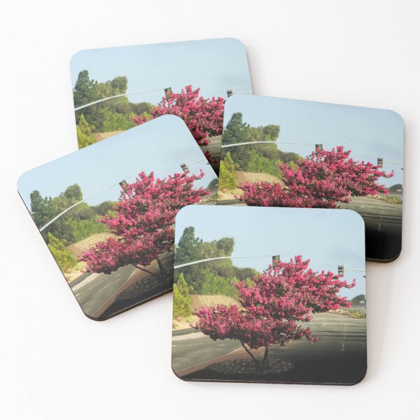 Item preview, Beauty On the Street designed and sold by heatherfriedman.