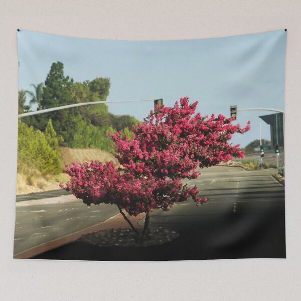 Item preview, Beauty On the Street designed and sold by heatherfriedman.