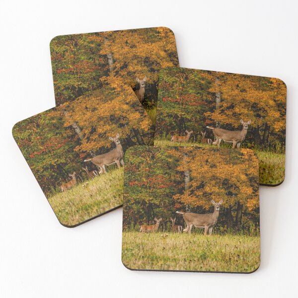 Item preview, Autumn Whitetail Gathering designed and sold by Imrick Photography.