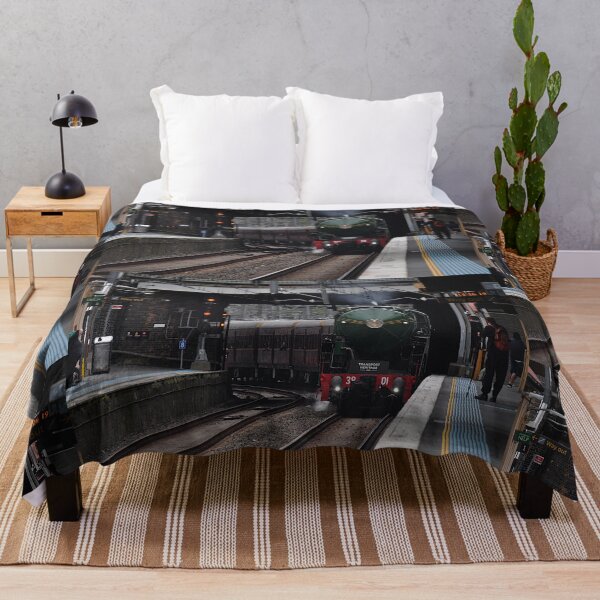 Item preview, Transport Heritage Expo - 3801, Redfern 20261005 designed and sold by muz2142.
