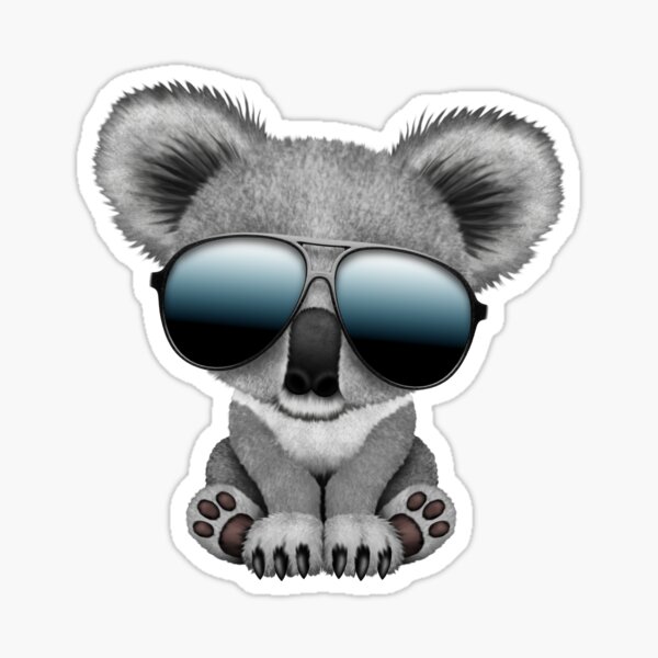 Cute Baby Koala Bear Wearing Sunglasses Sticker By Jeffbartels Redbubble