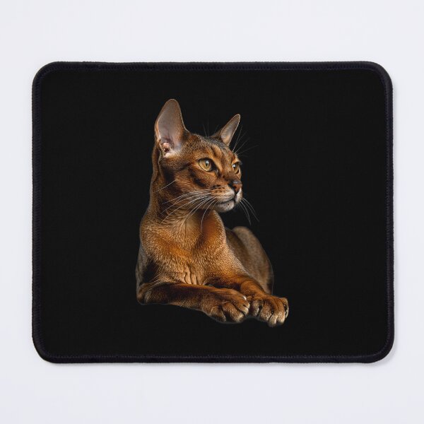 Item preview, Abyssinian Cat Aby Kitten Feline (10) designed and sold by robinnacallanyi.