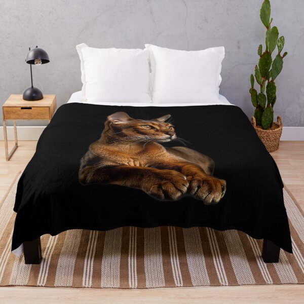Item preview, Abyssinian Cat Aby Kitten Feline (10) designed and sold by robinnacallanyi.