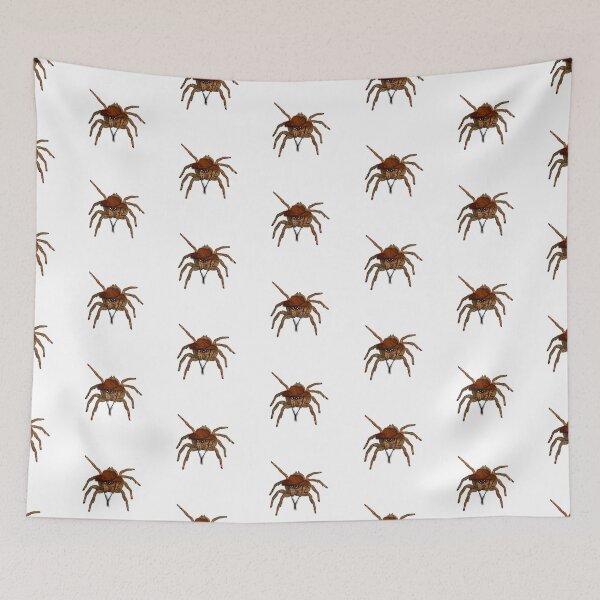 Item preview, Terry the tarantula in a cowboy hat - animalzinhats designed and sold by Ashley’sAnimalz.
