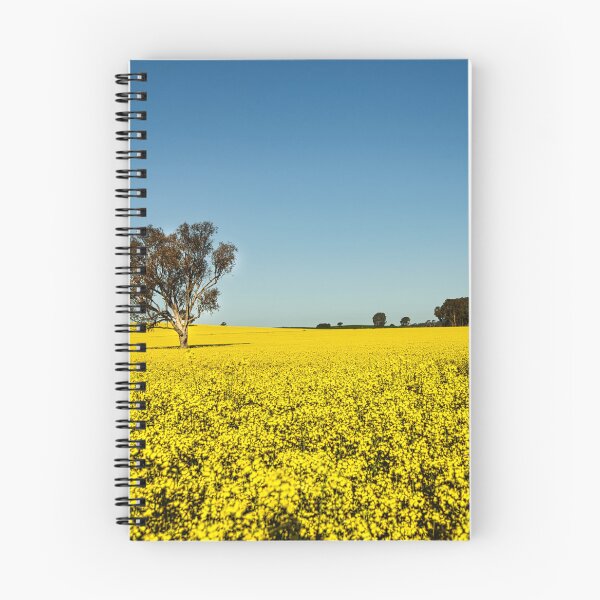 Item preview, Field of gold designed and sold by Kerry LeBoutillier.