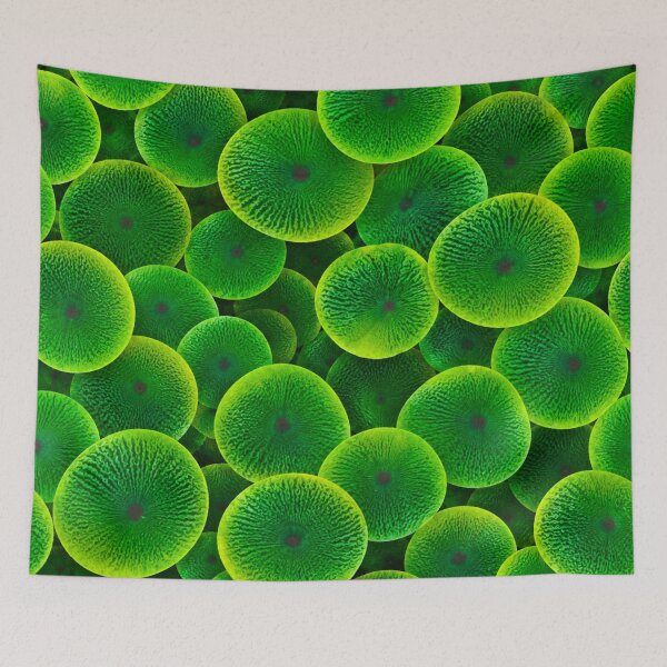 Item preview, Moonlit Reef designed and sold by WeaveSphere.