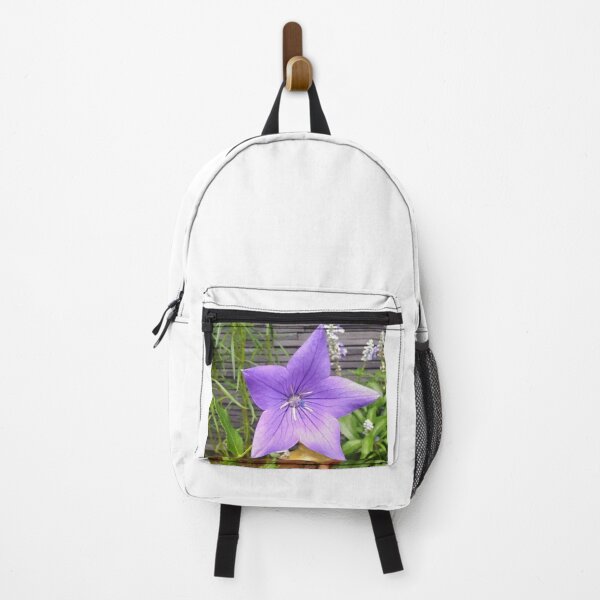 Item preview, Vibrant Purple Balloon Flower Balloonflower Blossom designed and sold by Luxxe87.