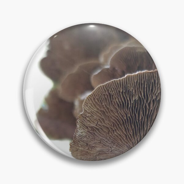 Item preview, Oak Mazegill 3 designed and sold by LoveGraceValor.