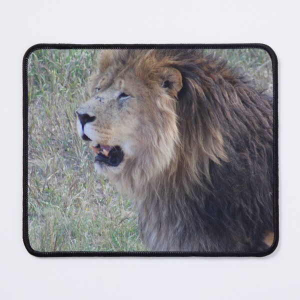 Item preview, Lion designed and sold by Creek Nymph Photography.