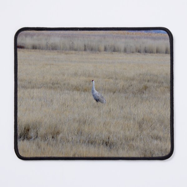 Item preview, Sandhill Crane in a Field designed and sold by The Botanical Jason.